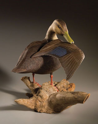 Black Duck Preening, Decorative decoy, 1985; Bob Brophy (b. 1932); Essex, Massachusetts; Wood, glass, lead, paint; 15 1/2 x 19 x 13 in.; Collection of the artist; Photography by Jason Dowdle